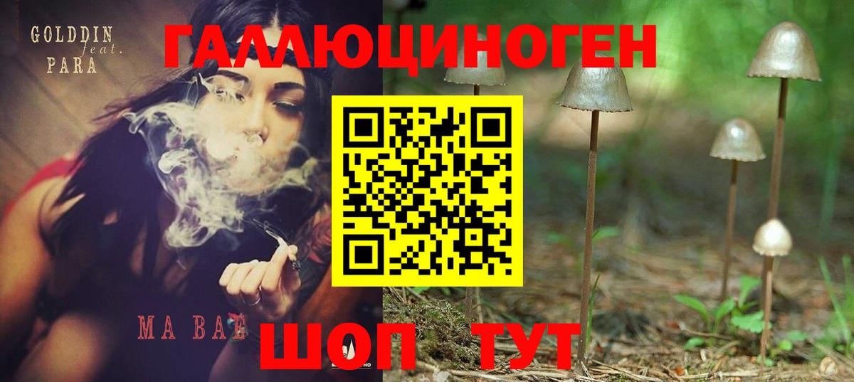 Зеленогорск  Галлюциногенные грибы мицелий  Вход с VPN 